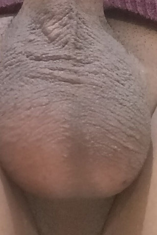 admin added